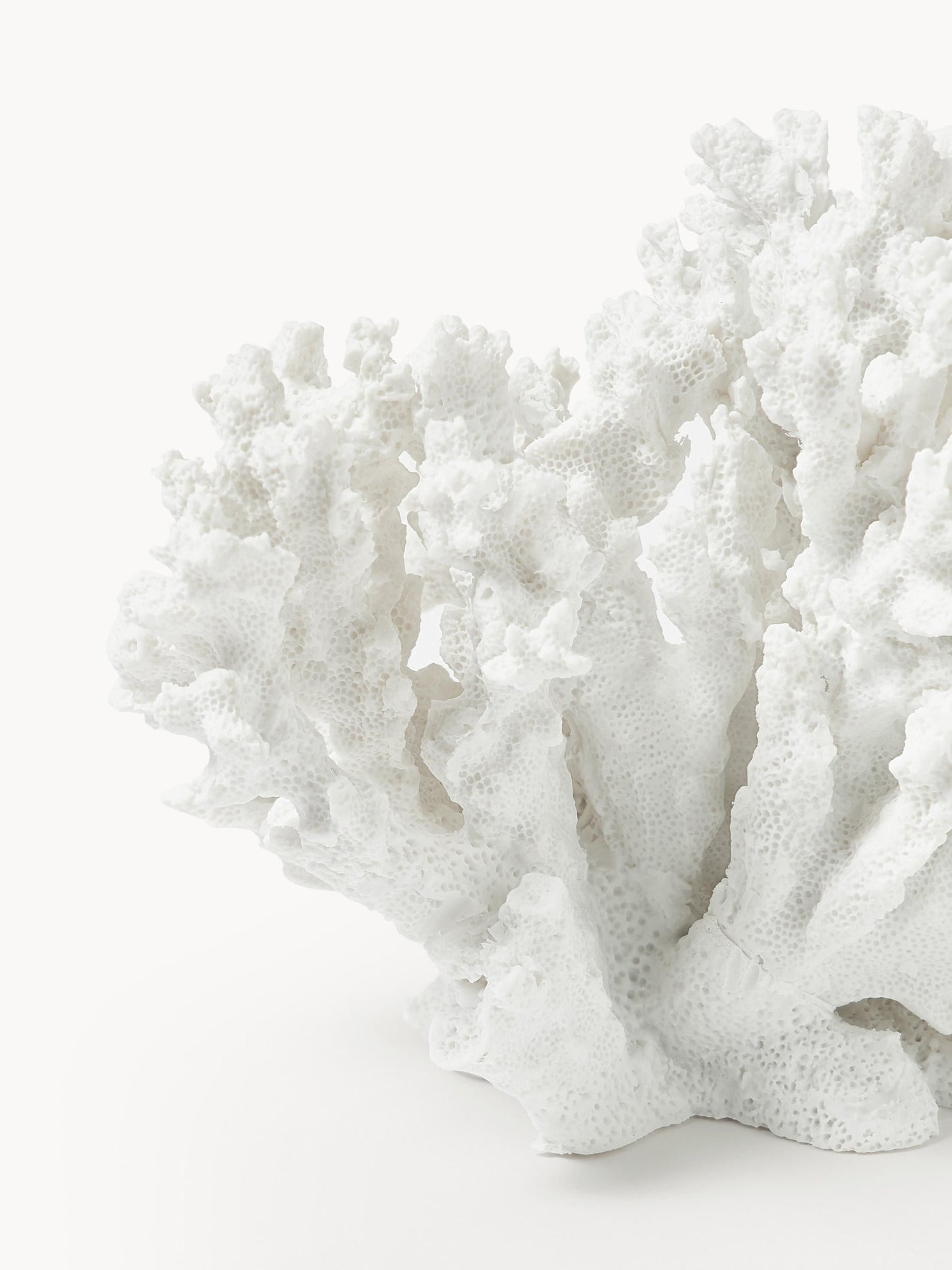 Dekoracja Coral