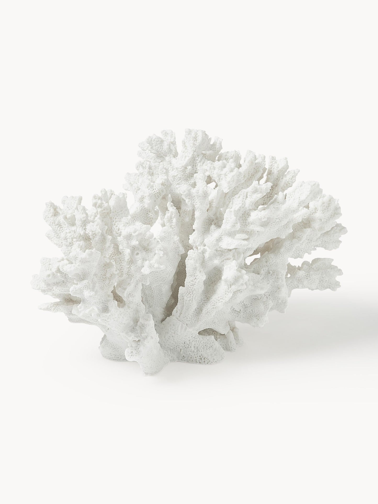 Dekoracja Coral