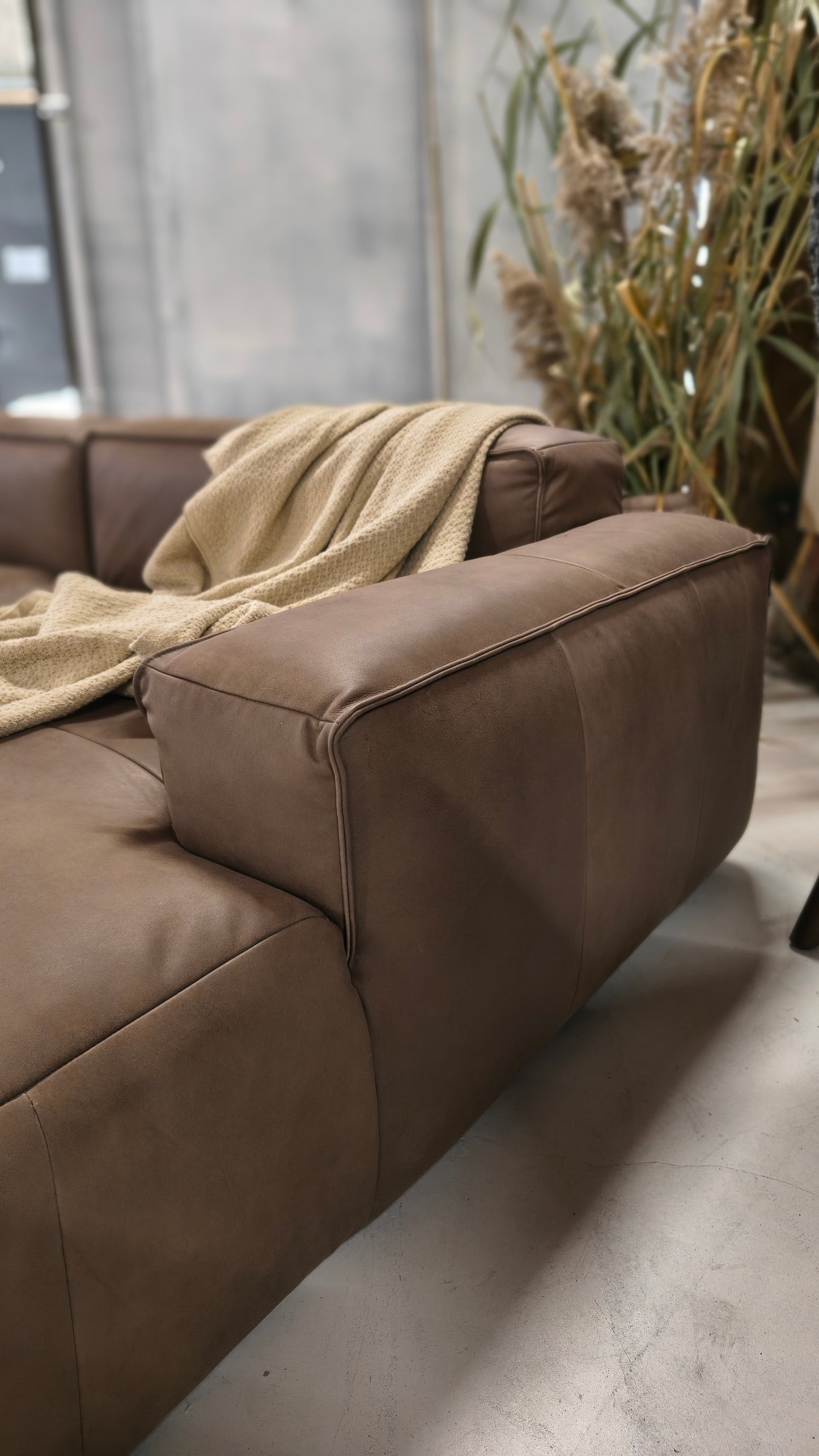 Sofa ROLF BENZ